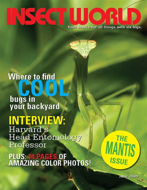 Insect World Magazine | Practicing InDesign | Andy Langager | Flickr