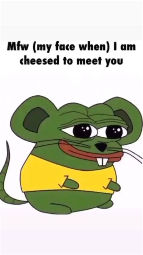 Mfw (my face when) I am cheesed to meet you - iFunny