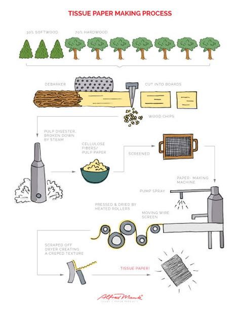 A Closer Look at the Paper Production Process