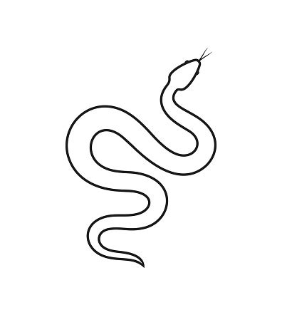 Snake Outline Isolated Snake On White Background Stock Illustration ...