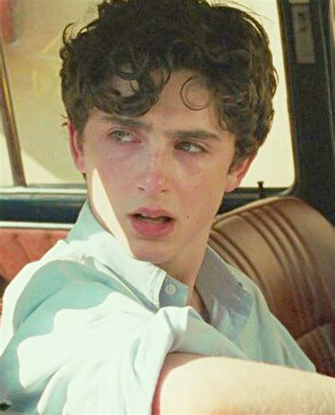 Timothée Chalamet | Capturas de tela, Rosto, Timothee chalamet