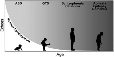 Frontiers | Clinical Features That Evoke the Concept of Disinhibition in Tourette Syndrome