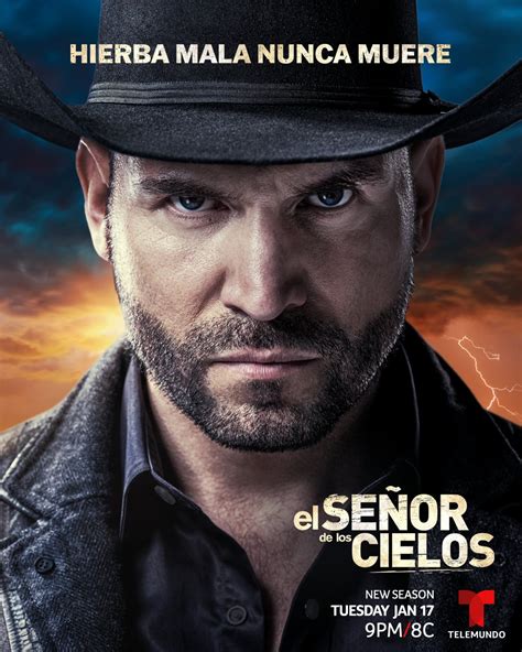 El Señor de los Cielos Season 8 Is Worth Watching | POPSUGAR Entertainment