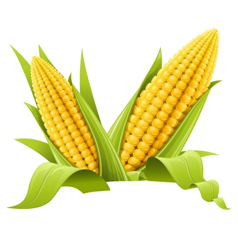 My Corn Clip Art Maize Clipart Stunning Free Transparent Png | My XXX Hot Girl