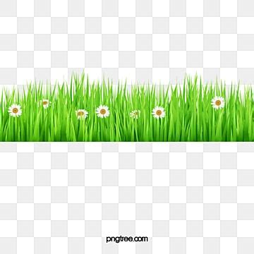 Cutoutreed Grass PNG Transparent Images Free Download | Vector Files ...