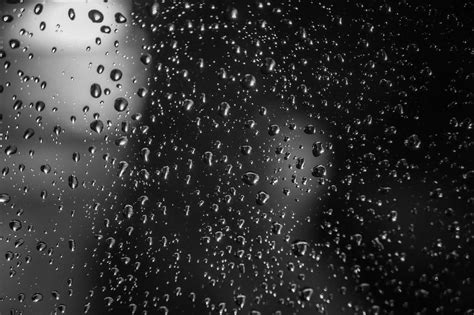 [400+] Water Droplets Wallpapers | Wallpapers.com