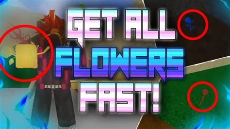 Blox Fruits Flower Locations - TODORBX 2024