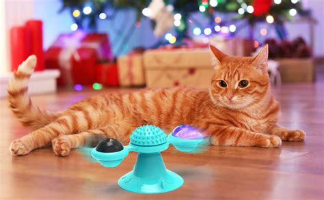 Amazon.com : GBSYU Interactive Windmill Cat Toys with Catnip : Cat Toys for Indoor Cats Funny ...