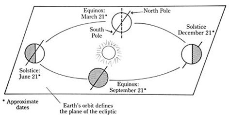 Celebrate the Solstice! | Field Notes | North Coast Journal