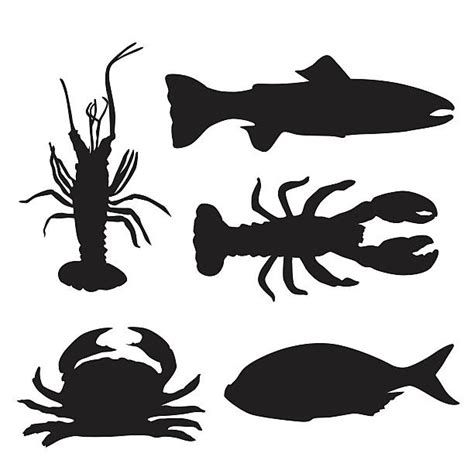 Halibut Silhouette Illustrations, Royalty-Free Vector Graphics & Clip ...