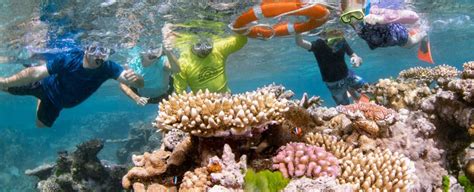 Student explorers to dive into reef program – Bundaberg Now