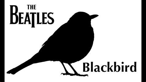 The Beatles - Blackbird (Cover) - YouTube