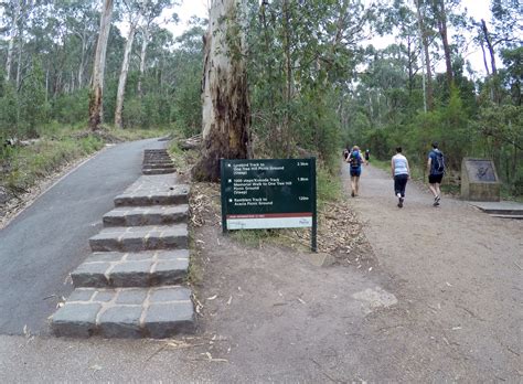 Kokoda Track Memorial Walk – Zinc Moon