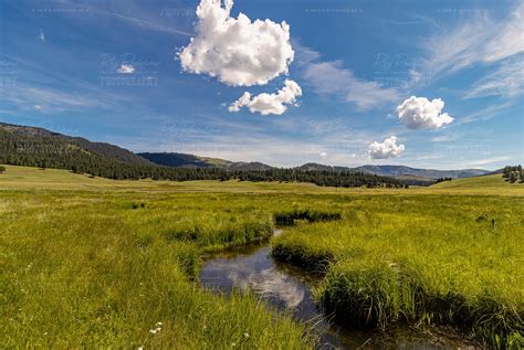 Valles Caldera Preserve During Summer With San Antonio Creek