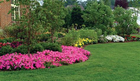 Manicured-Lawn-Garden - Landscape Solutions