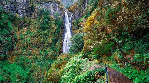 Levada das 25 Fontes and Risco waterfall hike | OutdoorTrip