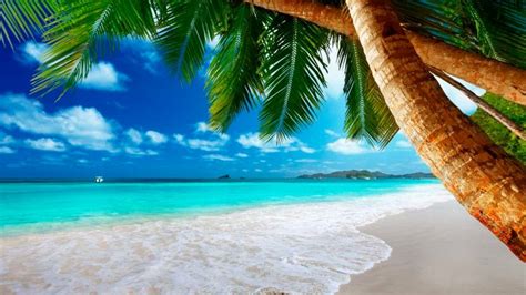 Tropical Beach Theme for Windows 10