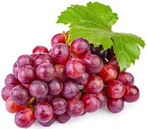 Black Grapes VS Red Grapes | All Of The Ways They Differ