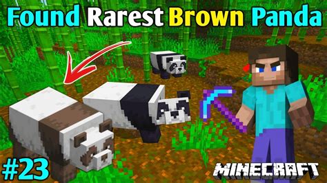 I FOUND RAREST BROWN PANDA | MINECRAFT GAMEPLAY IN HINDI | MINECRAFT GAMEPLAY #23 - YouTube