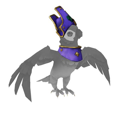 Parakeet Pirate Legend Outfit | The Sea of Thieves Wiki