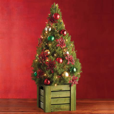 Red Plaid Mini Christmas Tree | Mini Real Christmas Trees Delivered