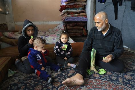 Hundreds of Palestinian families flee Gaza's north for food