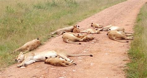 Tsavo East National Park Safaris, Activities - Travel Guide