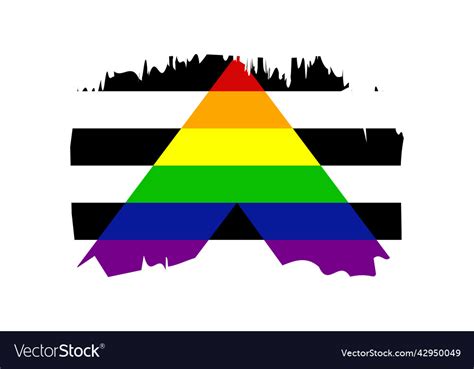 Straight allies pride flag lgbt community Vector Image