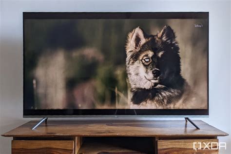 Xiaomi Mi QLED TV 4K 55 Review: Premium Experience at Sensible Price