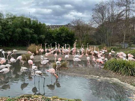 The 20 Best Zoos in Europe - Alex and Leah on Tour