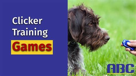 Clicker Training Games for Beginners - YouTube