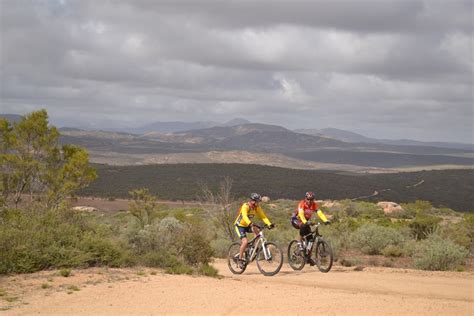 Namaqua National Park | Wild Safari Guide | South Africa