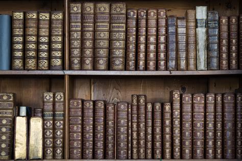 File:Vienna - Baroque Bookshelves detail - 6729.jpg - Wikimedia Commons