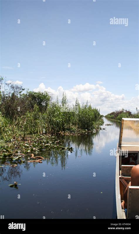 everglades,boats,swamp,usa,nature,propeller boat Stock Photo - Alamy