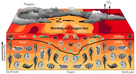 End Permian Mass Extinction Causes and Effects