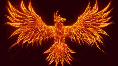 phoenix, fire, HD Wallpaper | Rare Gallery