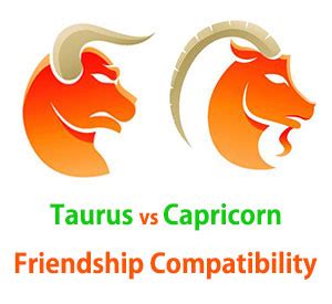 Taurus and Capricorn Friendship Compatibility