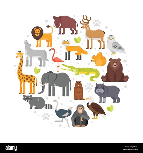 Vector flat style round composition of zoo animals icons. Isolated on ...