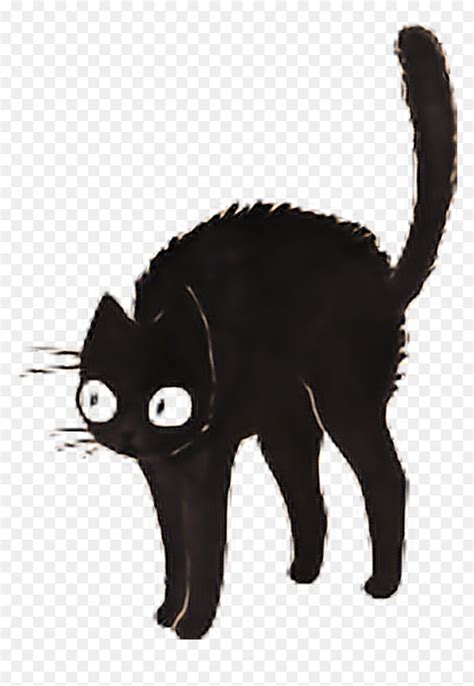 #cat #cats #black #blackcat #dark #tumblr #sticker - Transparent Black Cat Sticker, HD Png ...