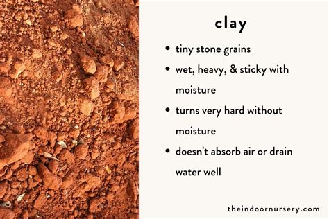 4 types of soil and what they're good for