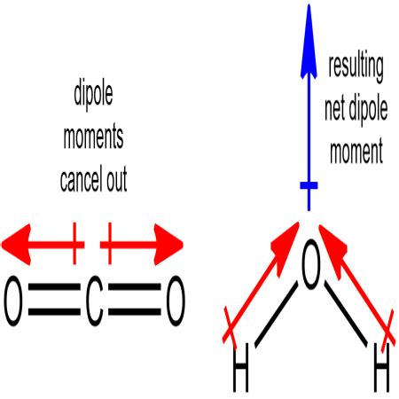 How do you find a molecule's dipole and net dipole moment? | Study.com