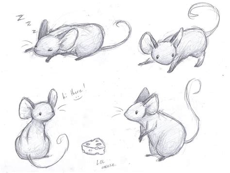 Mice Sketches by sleighbelles on DeviantArt