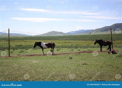 Bulgan Aimag Stock Photos - Free & Royalty-Free Stock Photos from Dreamstime