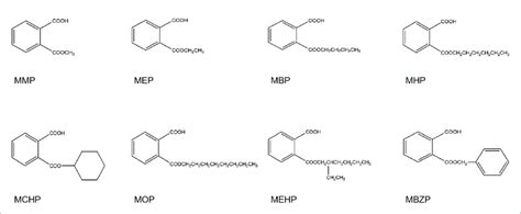 | The structure of eight phthalate monoesters. | Download Scientific ...