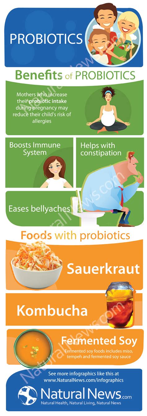 Benefits of Probiotics - NaturalNews.com