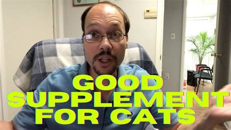 Supplement For Cats With Kidney Disease. 3 Tips For CKD Feline Health ...