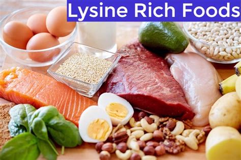 Foods Rich or High in Lysine You Can Eat - Stylish Walks