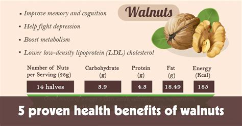 5 Proven Health Benefits of Walnuts