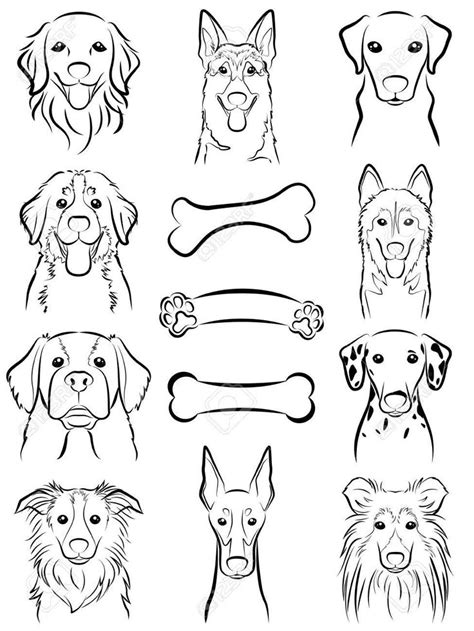 Dog Face Line Drawing at GetDrawings | Free download