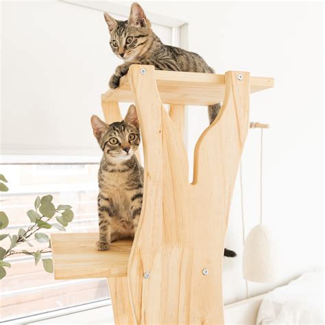 Introducing Ultra-Modern Cat Trees You AND Your Cat Will Love – Meowingtons